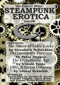 Cover Circlet Press Steampunk Erotica Bundle