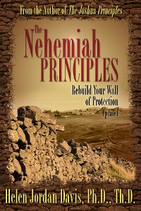 Cover The Nehemiah Principles Updated