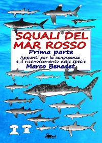 Cover Squali del Mar Rosso 1a Parte