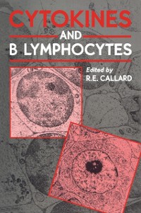 Cover Cytokines and B Lymphocytes
