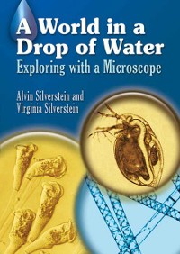 Cover World in a Drop of Water
