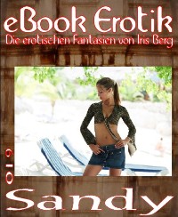 Cover eBook Erotik 019: Sandy