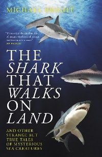 Cover The Shark That Walks On Land