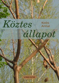 Cover Köztes állapot