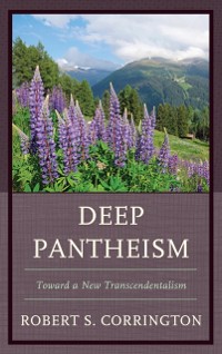 Cover Deep Pantheism