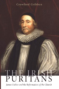 Cover The Irish Puritans