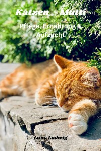 Cover Katzen Mutti Pflege, Ernährung & Zucht