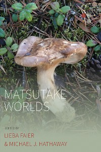 Cover Matsutake Worlds