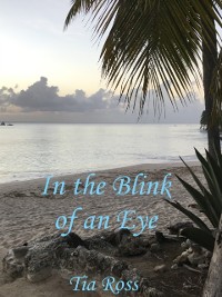 Cover In the Blink of an Eye