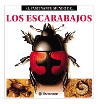 Cover Los Escarabajos