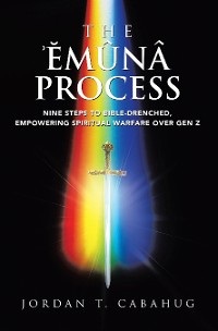 Cover The Emuna Process