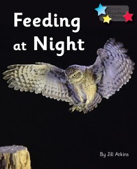 Cover Feeding at Night