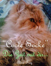 Cover "Coole Socke" - Die Zeit mit dir...