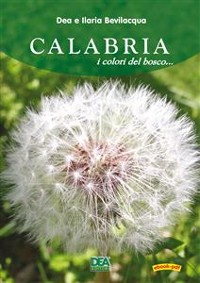 Cover Calabria i colori del bosco 