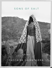 Cover Sons of Salt