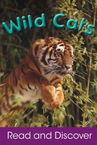 Cover Wild Cats