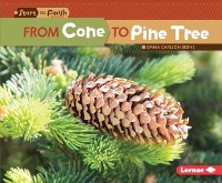 Cover From Cone to Pine Tree