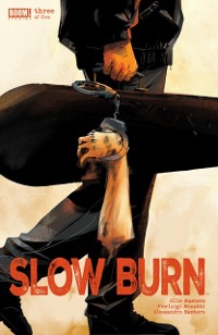 Cover Slow Burn #3