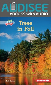 Cover Trees in Fall