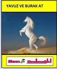 Cover Yavuz Ve Burak At