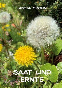 Cover Saat und Ernte