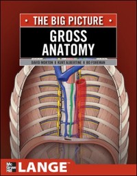 Cover Gross Anatomy: The Big Picture, Second Edition, SMARTBOOK(TM)