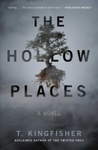 Cover Hollow Places