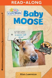 Cover Baby Moose