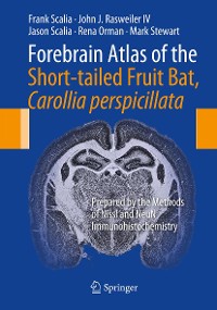 Cover Forebrain Atlas of the Short-tailed Fruit Bat, Carollia perspicillata