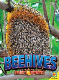 Cover Beehives