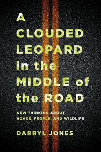 Cover A Clouded Leopard in the Middle of the Road