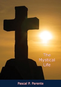 Cover Mystical Life