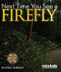 Cover Next Time You See a Firefly