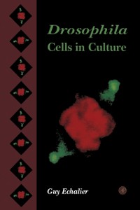 Cover Drosophila Cells in Culture