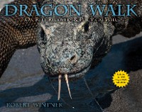 Cover Dragon Walk