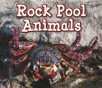 Cover Rock Pool Animals