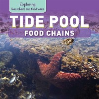 Cover Tide Pool Food Chains