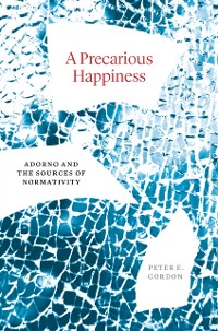 Cover Precarious Happiness