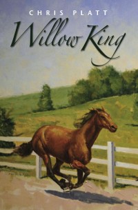 Cover Willow King