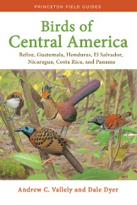 Cover Birds of Central America
