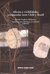 Cover Afectos y visibilidades comparadas entre Chile y Brasil
