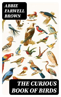 Cover The Curious Book of Birds