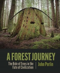Cover Forest Journey