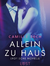 Cover Allein zu Haus - Erotische Novelle