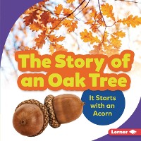 Cover Story of an Oak Tree