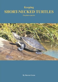 Cover Keeping Short-necked Turtles Emydura species