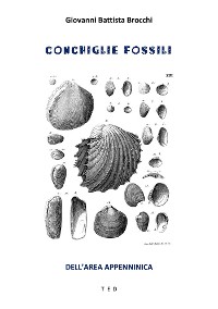 Cover Conchiglie fossili