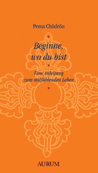 Cover Beginne, wo du bist