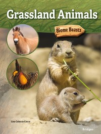 Cover Grassland Animals