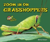 Cover Zoom in on Grasshoppers